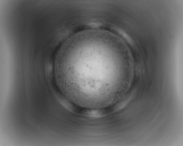 X0000114600365200910191623