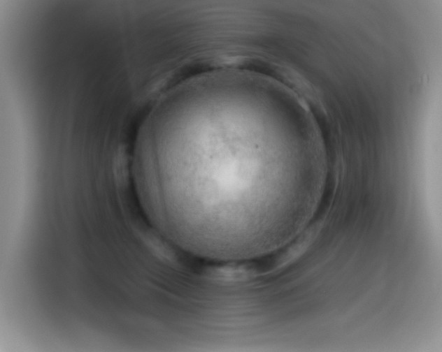 X0000114600366200910191623