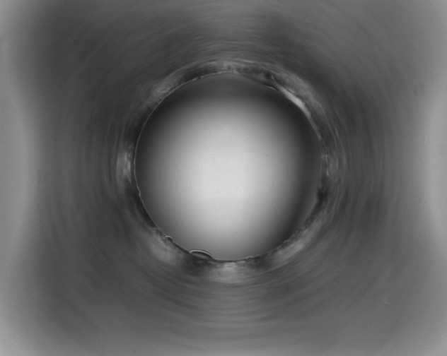 X0000114600382200910191623