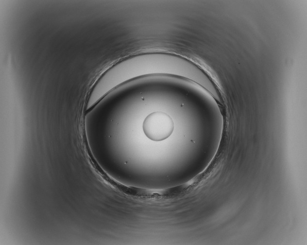 X0000114600385200910191623