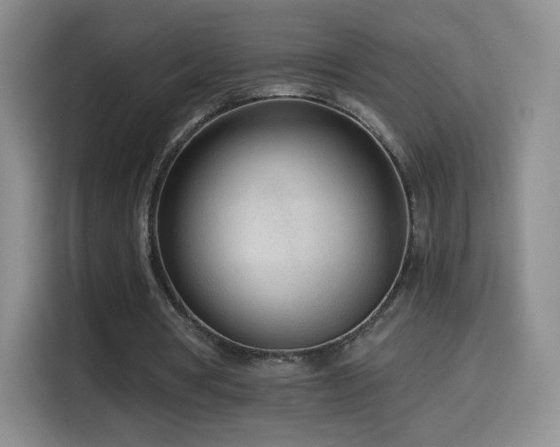 X0000114600386200910191623