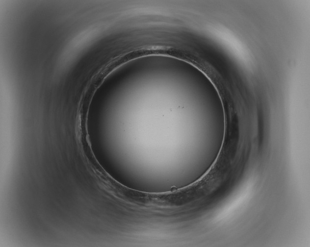 X0000114600387200910191623