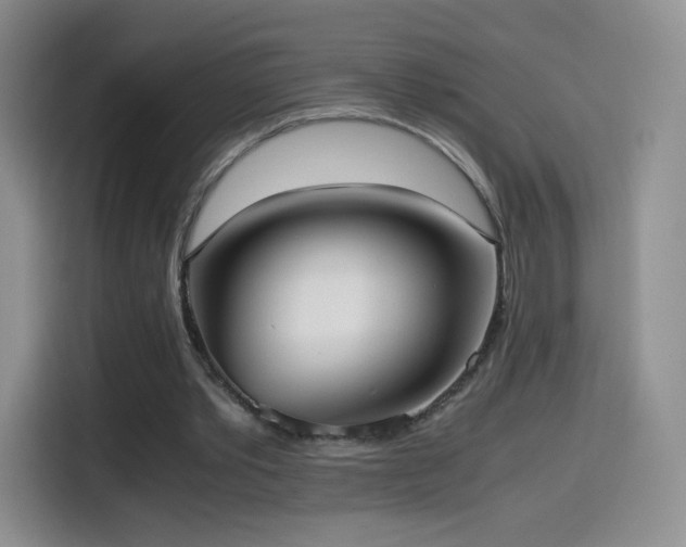 X0000114600389200910191623