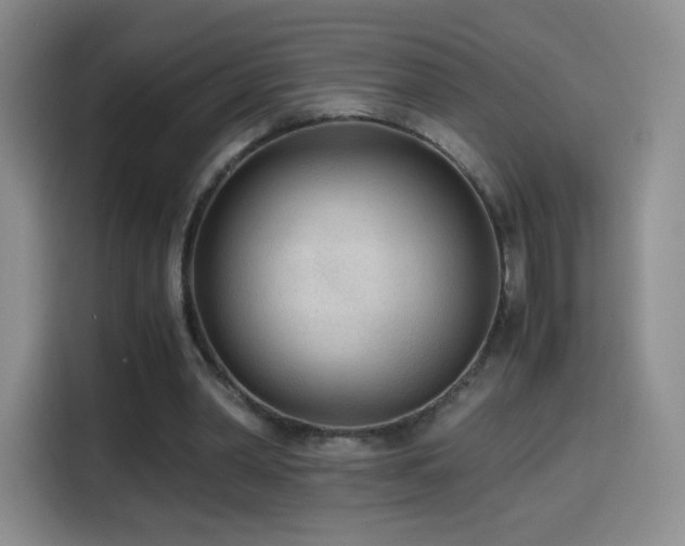 X0000114600390200910191623