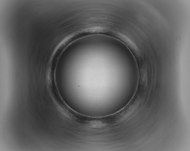 X0000114600392200910191622