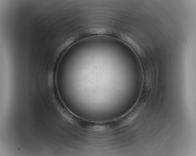 X0000114600394200910191622