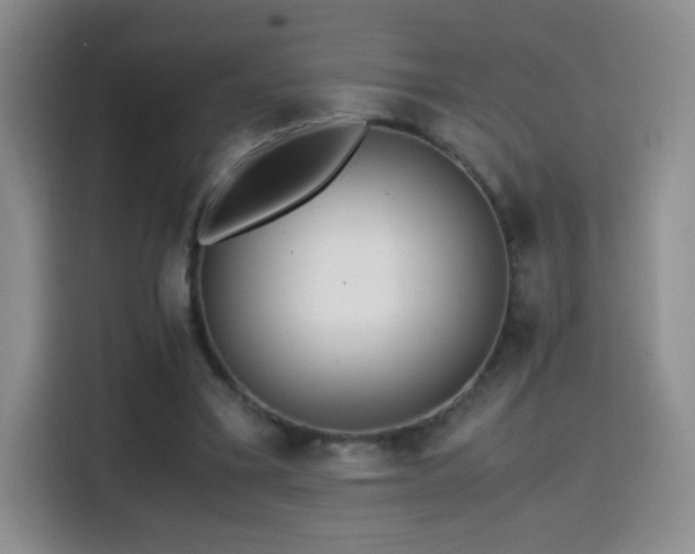 X0000114600395200910191622