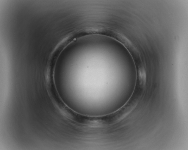 X0000114600396200910191622