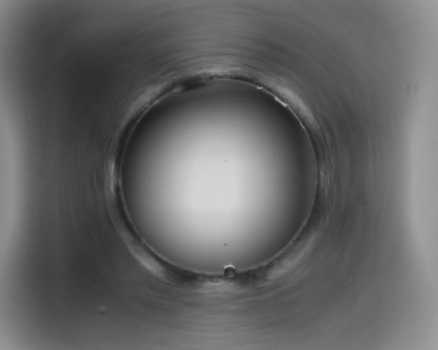 X0000114600397200910191622