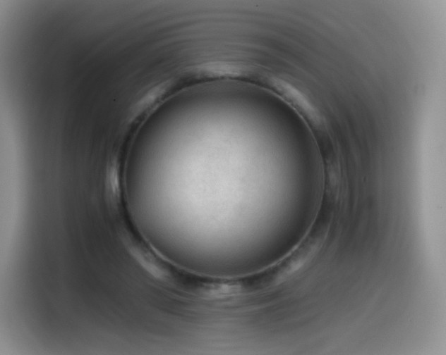 X0000114600398200910191622