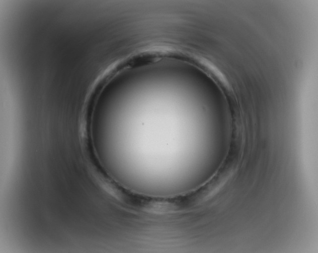 X0000114600399200910191622