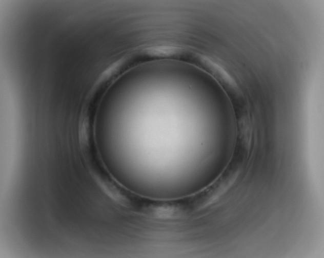 X0000114600400200910191622