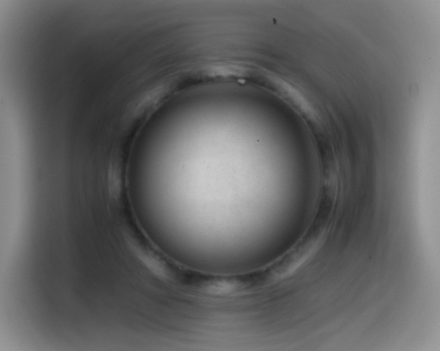 X0000114600402200910191622