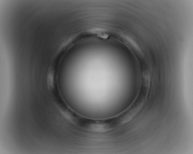 X0000114600404200910191622