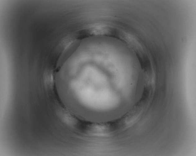 X0000114600405200910191622