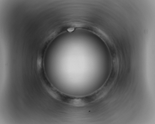 X0000114600406200910191622