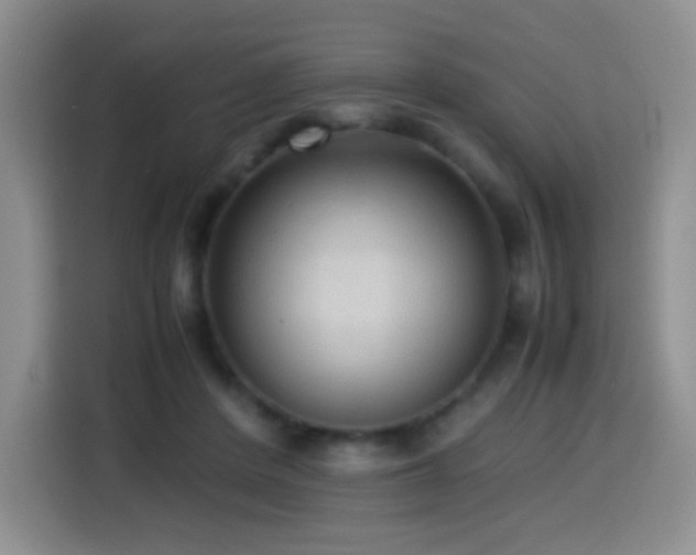 X0000114600408200910191622