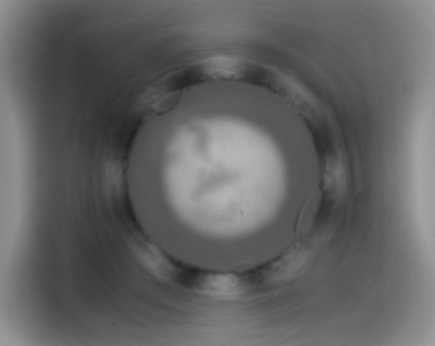 X0000114600409200910191622