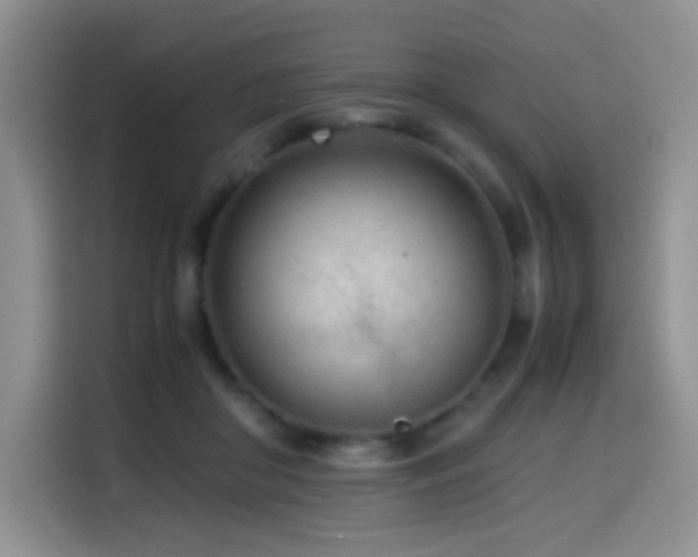 X0000114600410200910191622