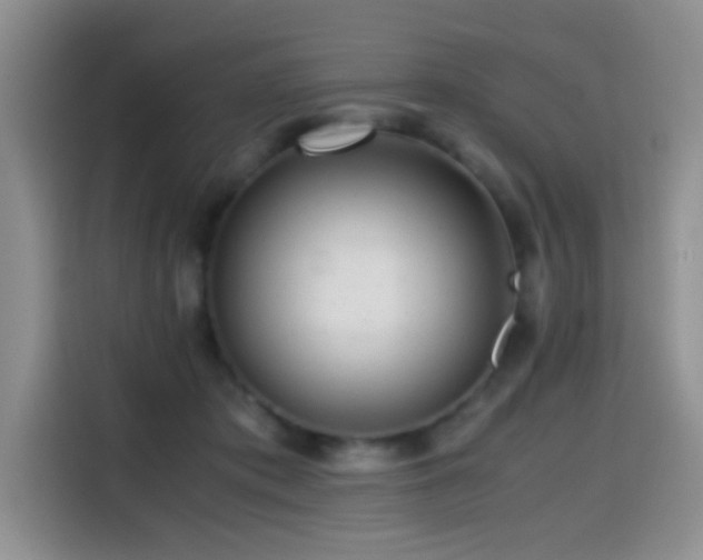 X0000114600413200910191622