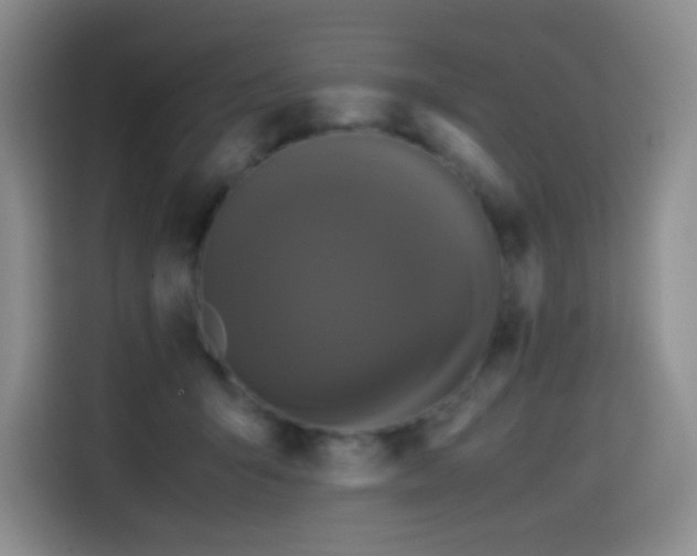 X0000114600415200910191622