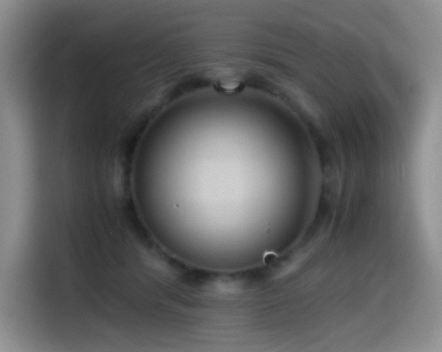 X0000114600416200910191622