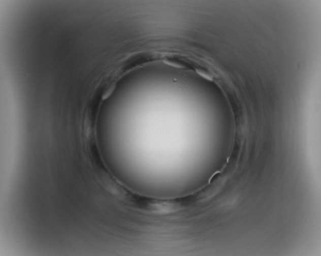 X0000114600417200910191622