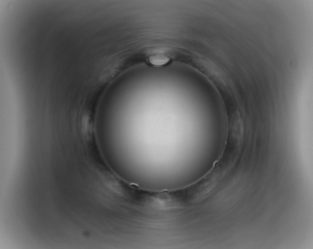 X0000114600420200910191622