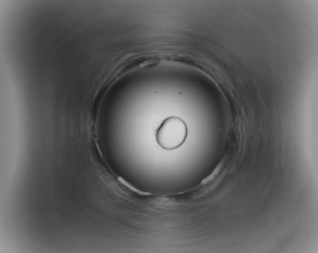 X0000114600421200910191622