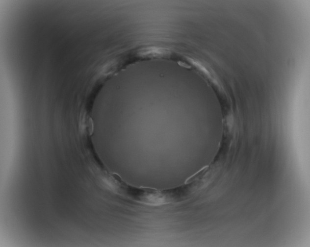 X0000114600423200910191622