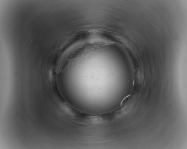 X0000114600424200910191622