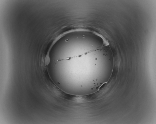 X0000114600425200910191622