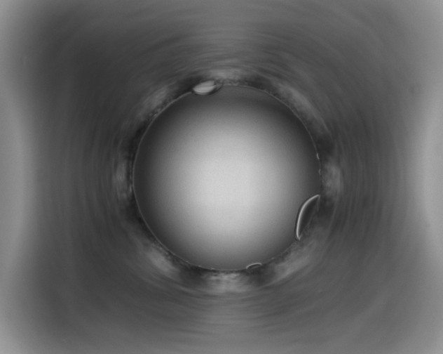 X0000114600428200910191622