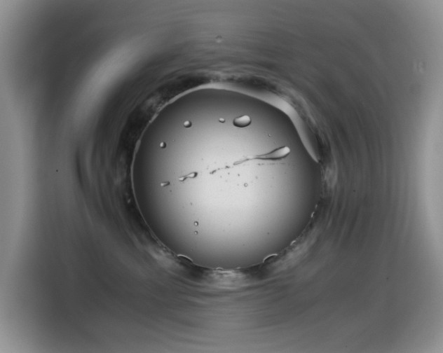 X0000114600429200910191622