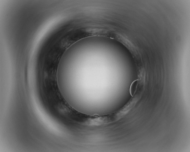 X0000114600430200910191622