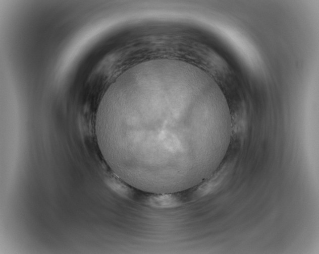 X0000114600431200910191622