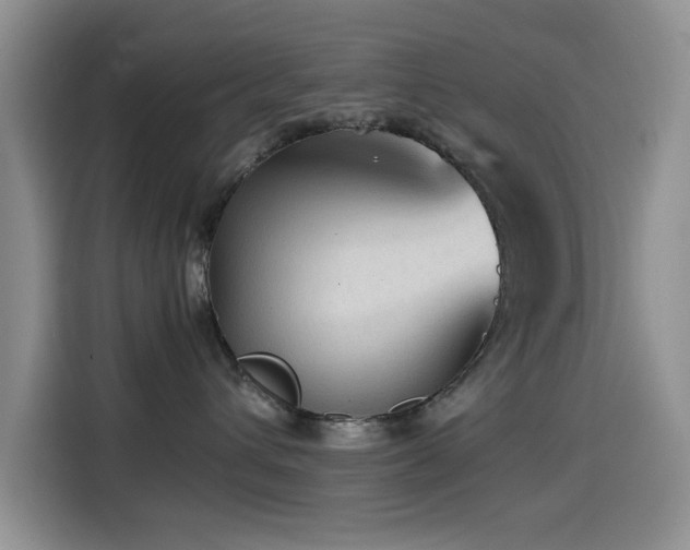 X0000114600432200910191622