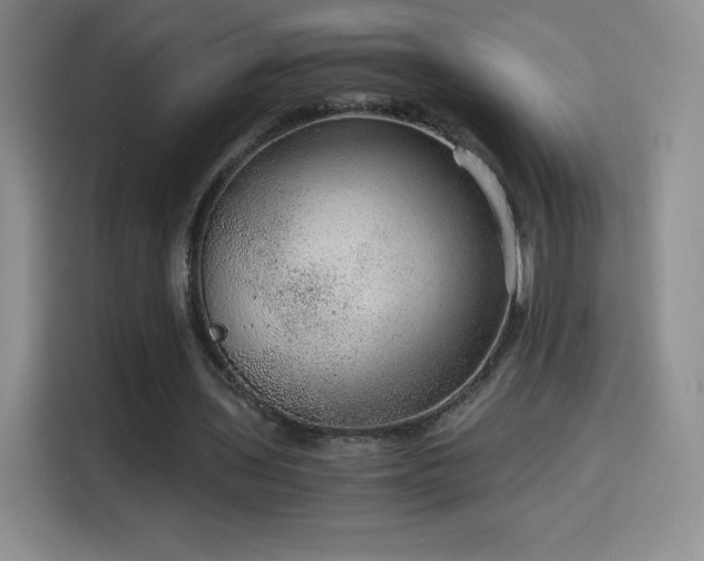 X0000114600435200910191621