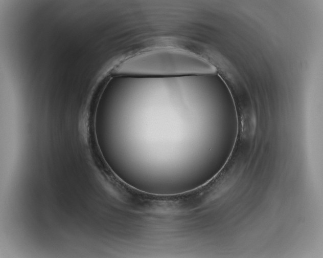 X0000114600436200910191621