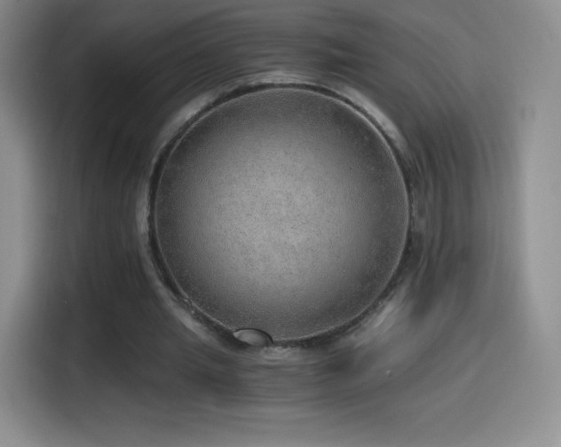 X0000114600437200910191621