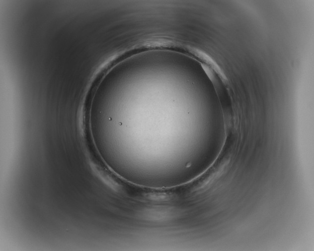 X0000114600439200910191621