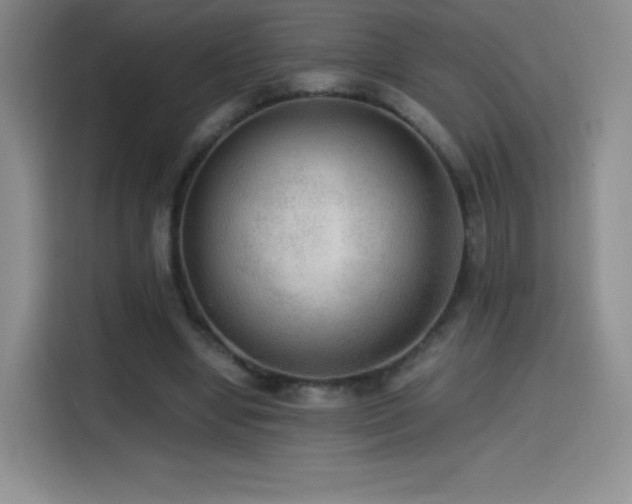 X0000114600442200910191621