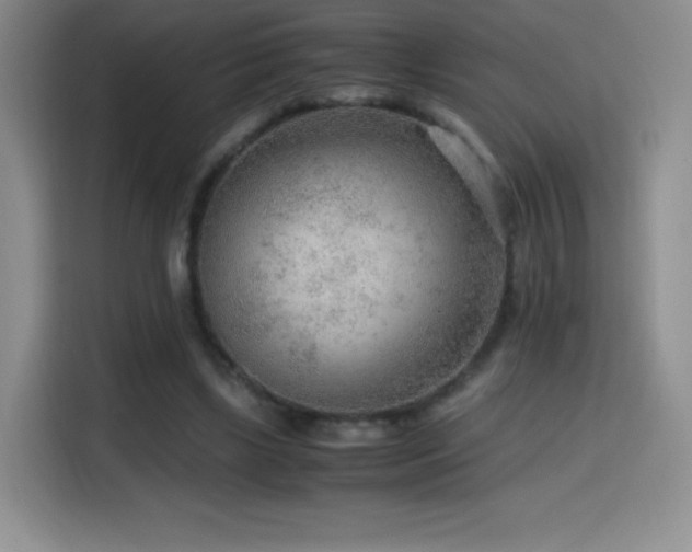 X0000114600443200910191621