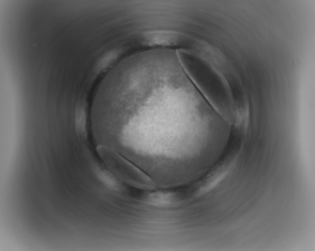 X0000114600444200910191621