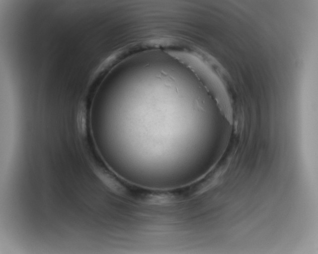 X0000114600446200910191622