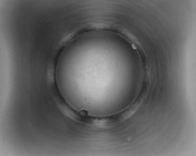 X0000114600450200910191622