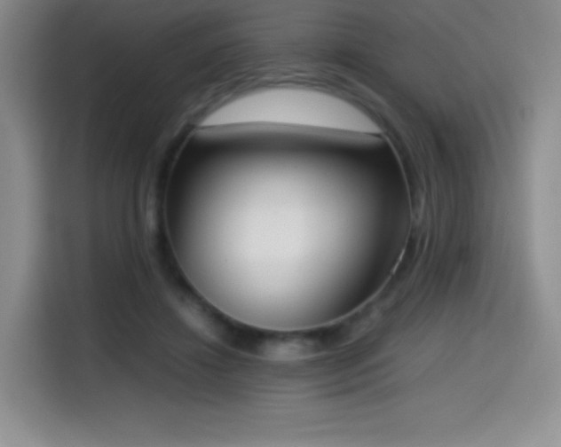 X0000114600452200910191622