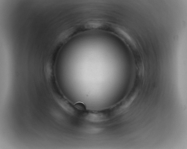 X0000114600455200910191622