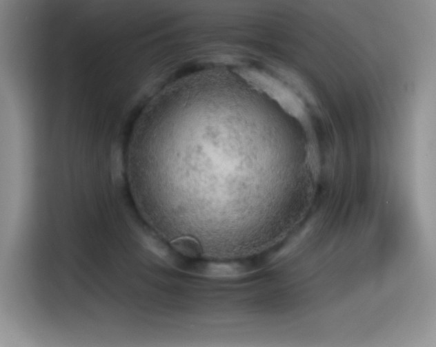 X0000114600457200910191622