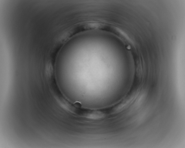 X0000114600459200910191622